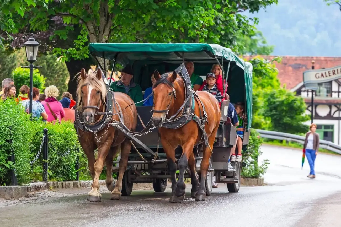 Neuschwanstein Castle: Skip The Line Ticket + Guided Tour + Horse Carriage Ride